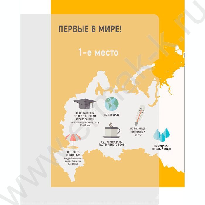 Папка уголок А4 Economy прозрачный тисненый 0,10мм | Фото 4