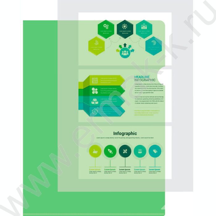 Папка уголок А4 Economy зеленый тисненый 0,10мм | Фото 4