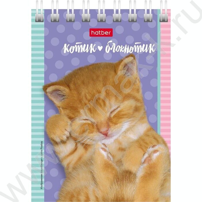 Блокнот  40л А7 спираль "Котята" | Фото 1