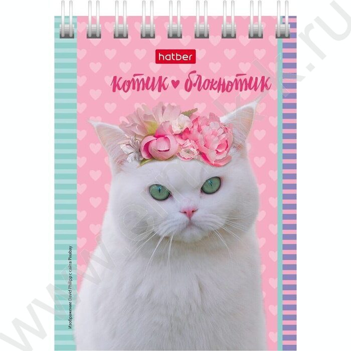 Блокнот  40л А7 спираль "Котята" | Фото 2