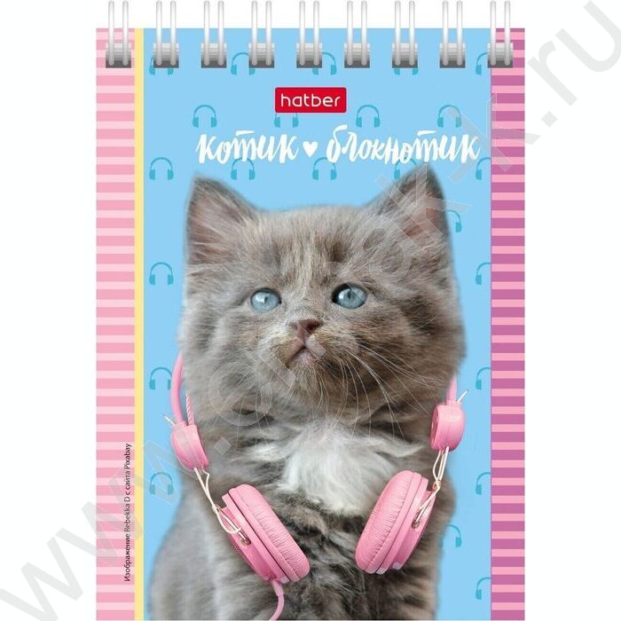 Блокнот  40л А7 спираль "Котята" | Фото 4