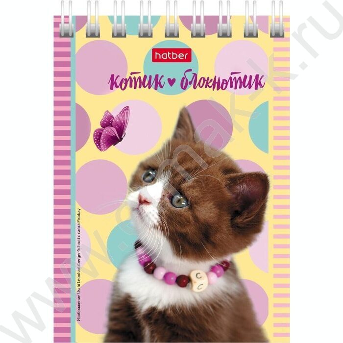 Блокнот  40л А7 спираль "Котята" | Фото 5