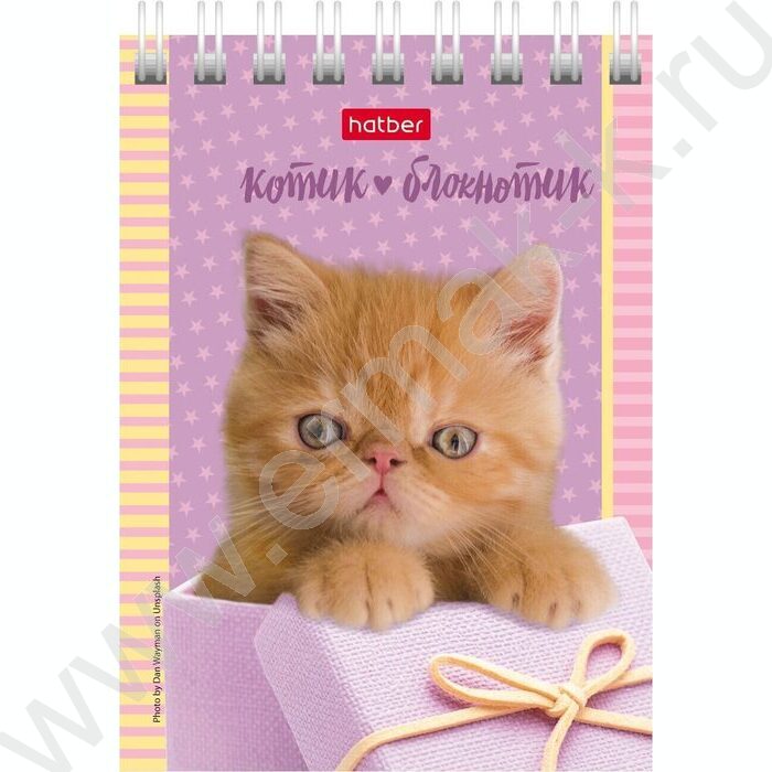 Блокнот  40л А7 спираль "Котята" | Фото 6