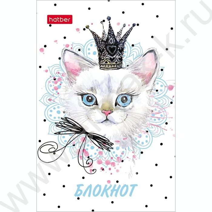 Блокнот  48л А7 3-х цв.блок "Модные мордочки" | Фото 1