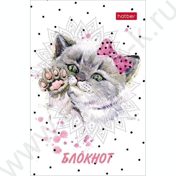 Блокнот  48л А7 3-х цв.блок "Модные мордочки" | Фото 2