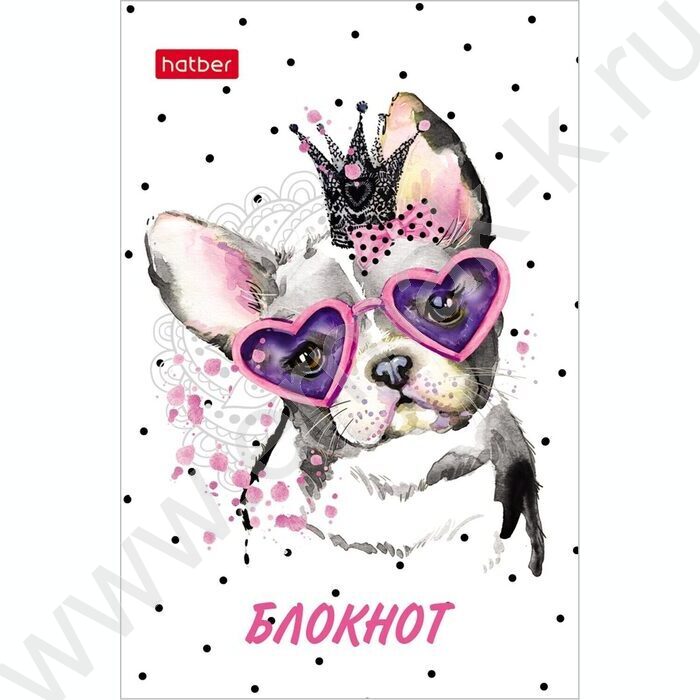 Блокнот  48л А7 3-х цв.блок "Модные мордочки" | Фото 3