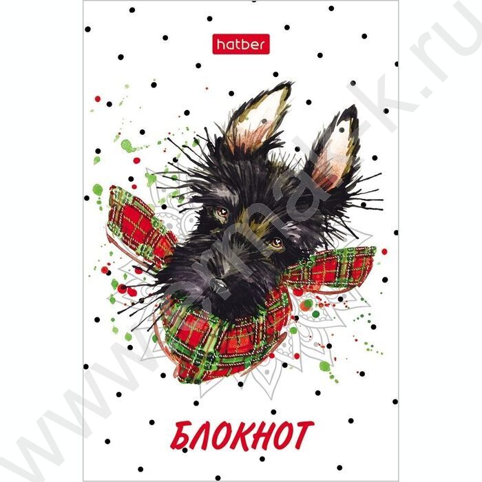 Блокнот  48л А7 3-х цв.блок "Модные мордочки" | Фото 5