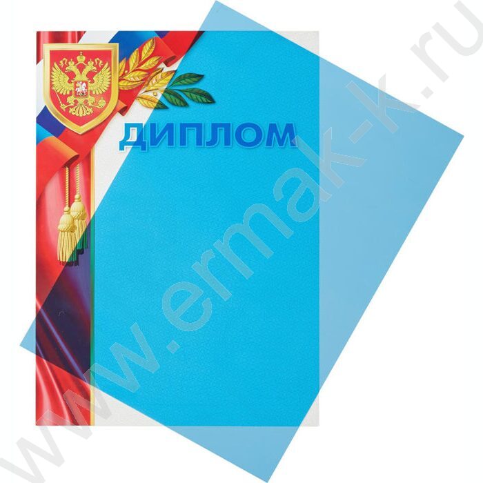 Обложка А4 PMO полипропилен 200мкм прозрачные синие /100шт | Фото 3