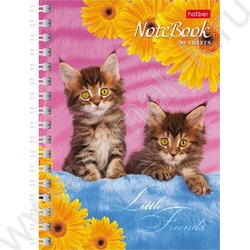 Зап. книжка  80л А6 спираль Милые котята | Фото 1