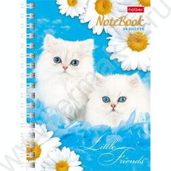 Зап. книжка  80л А6 спираль Милые котята | Фото 3
