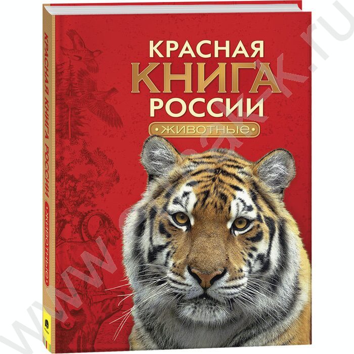 Красная книга России. Животные | Фото 1
