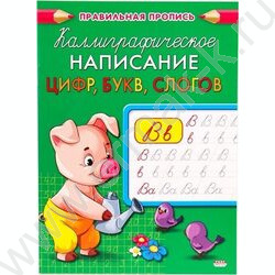 Пропись А5 Каллиграфическое написание цифр,букв,слогов | Фото 1