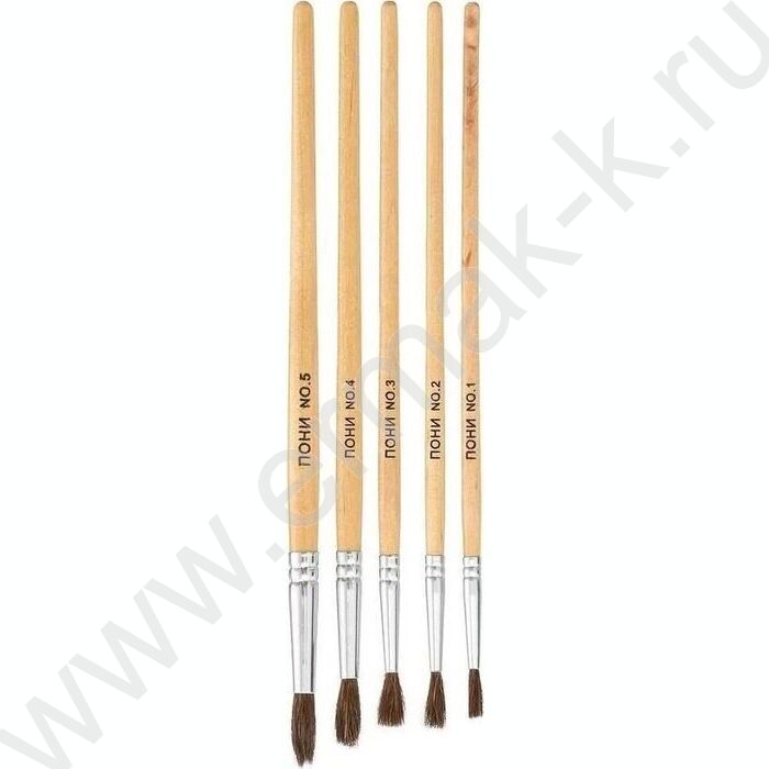 Кисть набор  5шт /пони №1,№2,№3,№4,№5/ европодвес | Фото 1