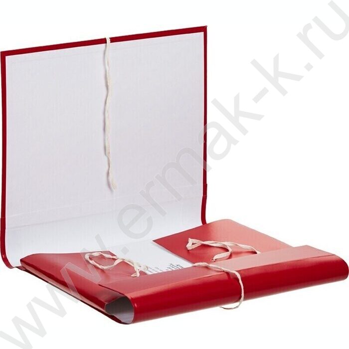 Папка архивная  50мм на завязках б/вин | Фото 2