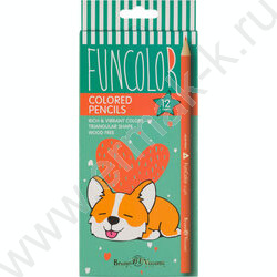 Карандаши пластиковые 12цв Funcolor 4вида | Фото 2