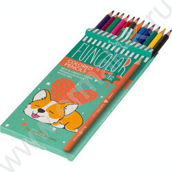 Карандаши пластиковые 12цв Funcolor 4вида | Фото 3
