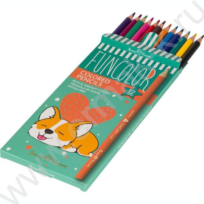 Карандаши пластиковые 12цв Funcolor 4вида | Фото 3