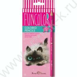 Карандаши пластиковые 12цв Funcolor 4вида | Фото 4