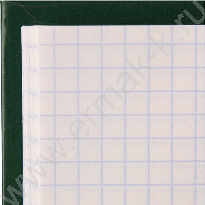 Книга Учёта 120л клетка тв.обл. офсет зеленая | Фото 3