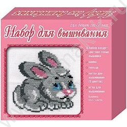 Набор д/творчества Вышивка  Зайка (с пяльцами) | Фото 1
