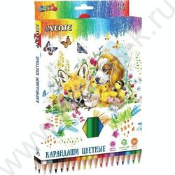 Карандаши  36цв Cosmo /шестигранные/ 2М, d грифеля-2,8мм европодвес | Фото 1