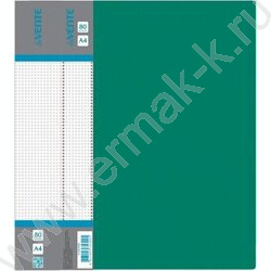 Папка  80 файлов Daily зелёная, сменная этикетка | Фото 1