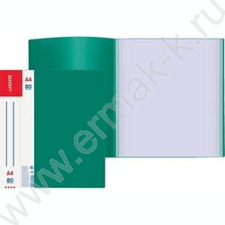 Папка  80 файлов Daily зелёная, сменная этикетка | Фото 2