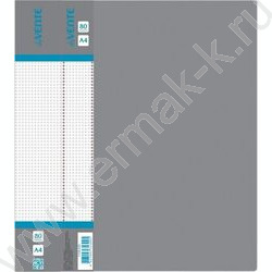 Папка  80 файлов Daily серая, сменная этикетка | Фото 1