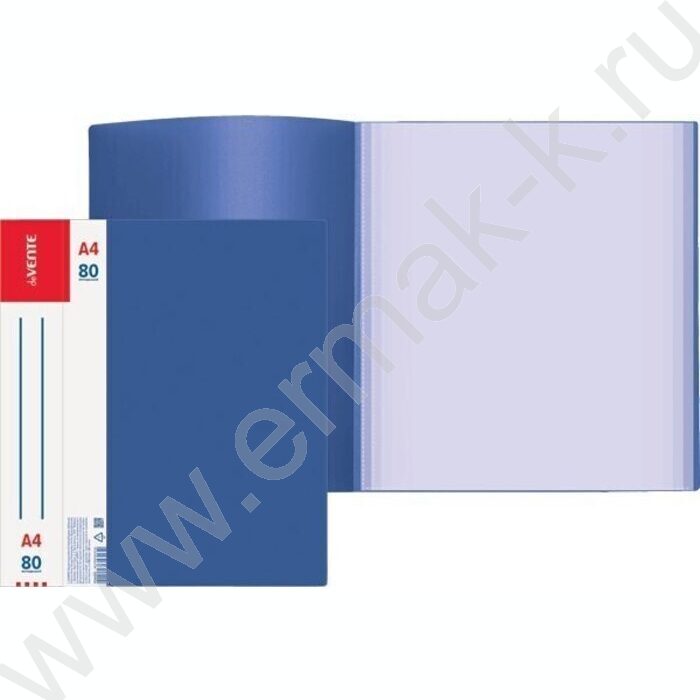 Папка  80 файлов Daily синяя, сменная этикетка | Фото 2