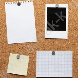 Кнопки /100шт 12мм | Фото 3