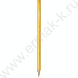 Карандаши пластиковые 24цв Животный мир /шестигранные / 2М, d грифеля-3мм европодвес | Фото 2