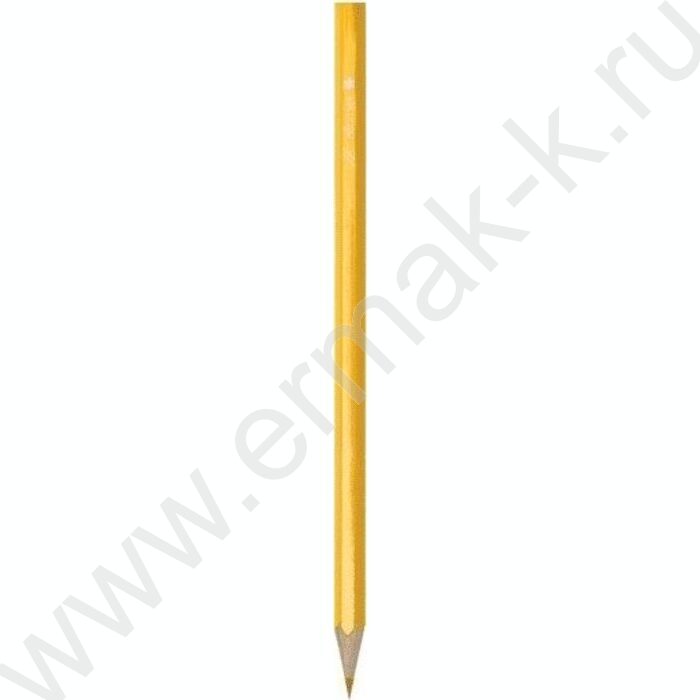 Карандаши  24цв Zoo /шестигранные/ М, d грифеля-2,65мм европодвес | Фото 2