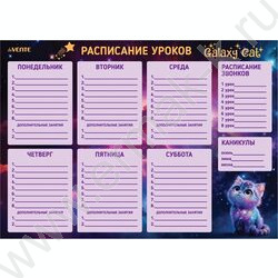 Расписание уроков магнитно-маркерное многоразовое А3 "Galaxy Cat" | Фото 1
