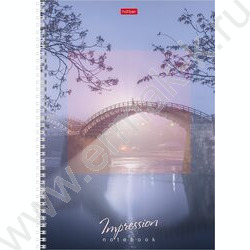 Тетрадь  80л А4 клетка/спираль/тв.обл. "Impressions" 4вида | Фото 3