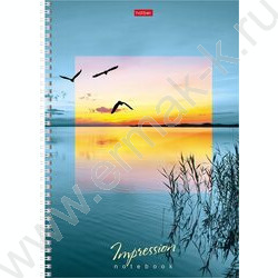 Тетрадь  80л А4 клетка/спираль/тв.обл. "Impressions" 4вида | Фото 4