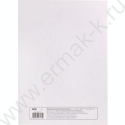 Медицинская карта ребенка (школьника) А4 16л | Фото 5