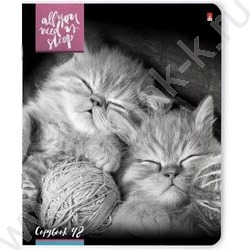 Тетрадь  48л клетка "Котята"Мур-мур"" 5видов | Фото 4