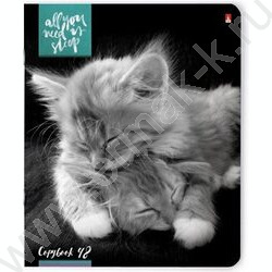 Тетрадь  48л клетка "Котята"Мур-мур"" 5видов | Фото 6