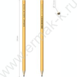 Карандаш ч/гр HB Amber 100 европодвес | Фото 4