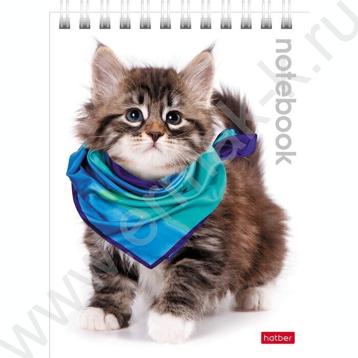 Блокнот  40л А6 спираль "Милые котята" | Фото 1