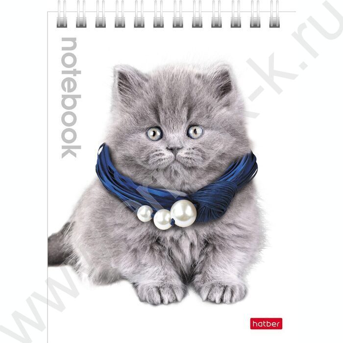 Блокнот  40л А6 спираль "Милые котята" | Фото 2