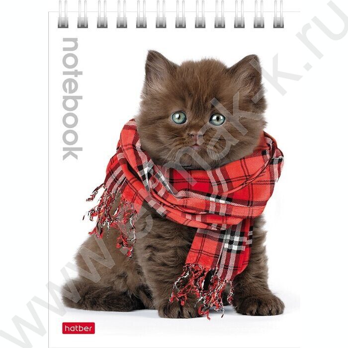 Блокнот  40л А6 спираль "Милые котята" | Фото 3