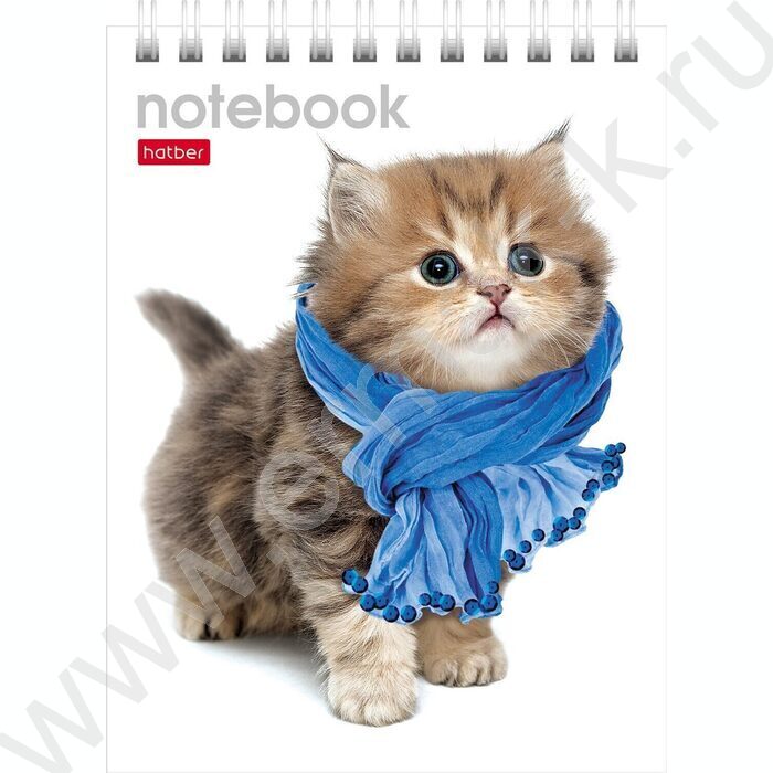 Блокнот  40л А6 спираль "Милые котята" | Фото 4