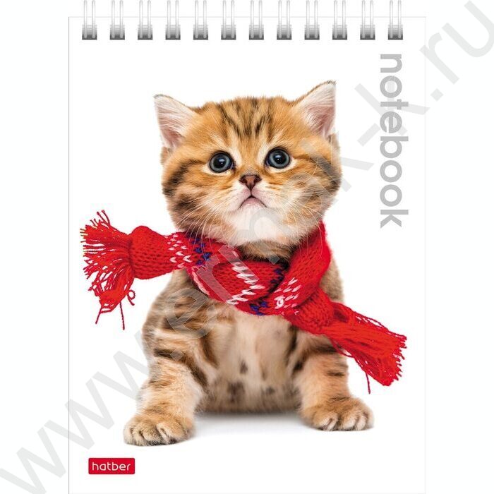 Блокнот  40л А6 спираль "Милые котята" | Фото 5