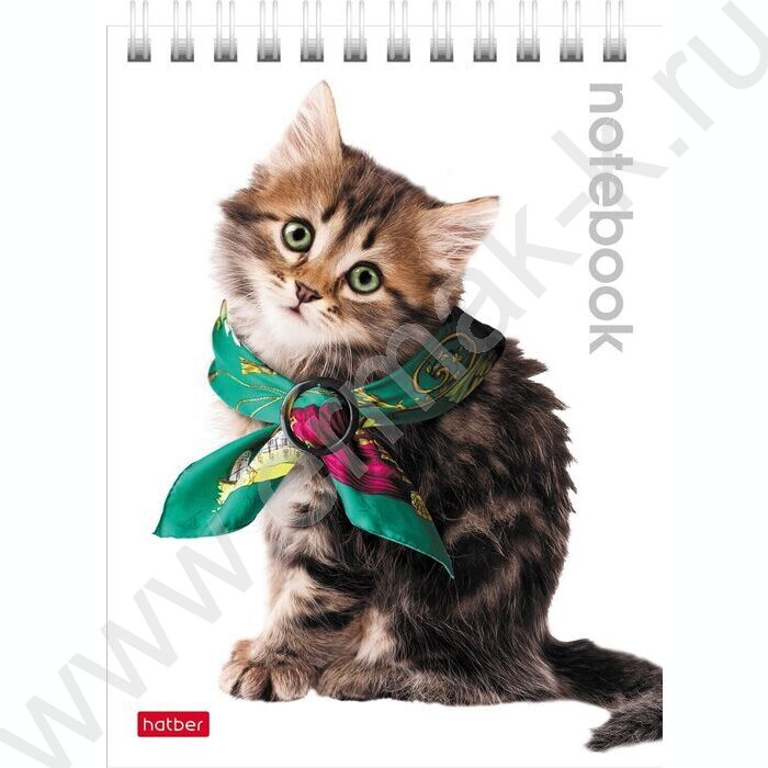 Блокнот  40л А6 спираль "Милые котята" | Фото 6