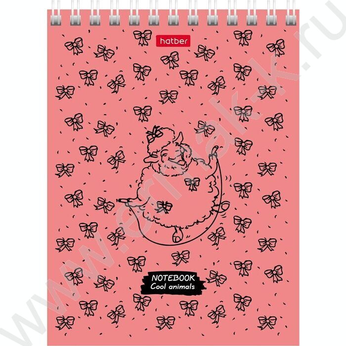 Блокнот  40л А6 спираль "COOL Animals" ассорти | Фото 5