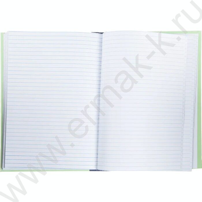 Книга Учёта  96л линия офсет | Фото 3