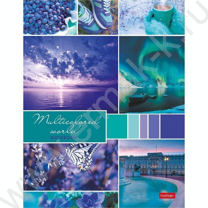 Тетрадь 160л клетка/кольца "Разноцветный мир" | Фото 1