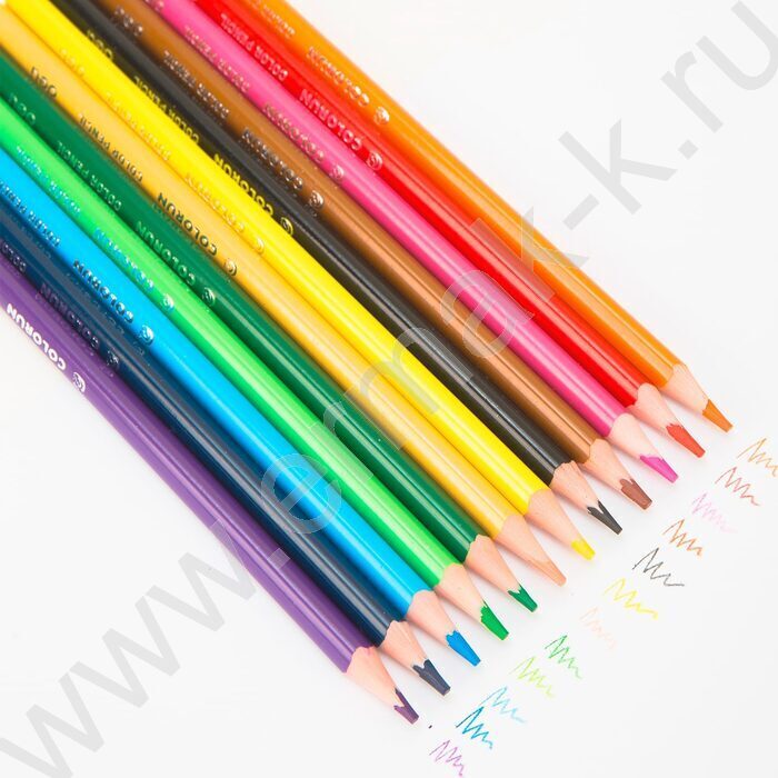 Карандаши пластиковые 24цв ColoRun /трехгранные/ европодвес | Фото 3