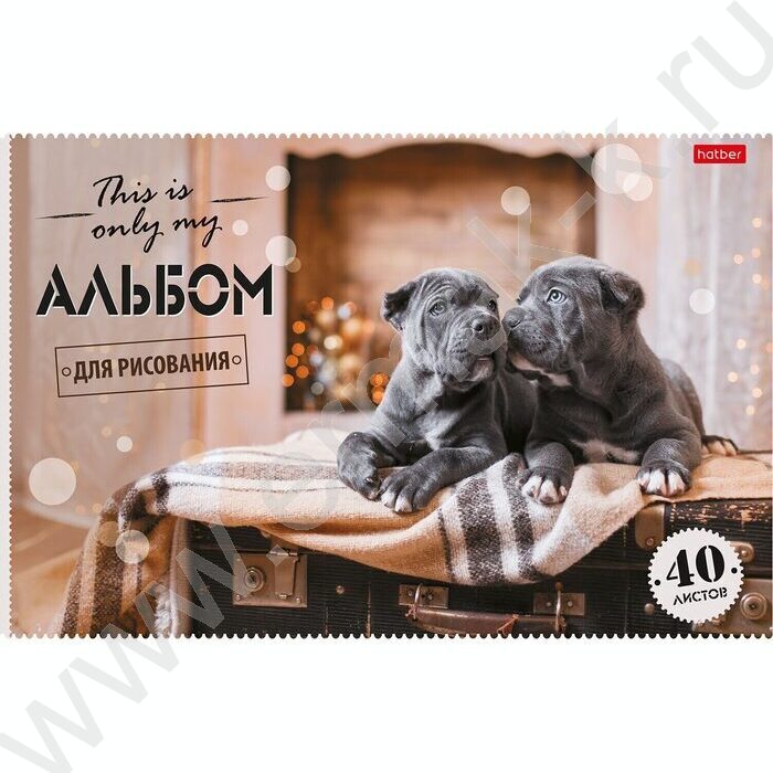 Альбом д/рисования 40л "Ассорти"  5видов | Фото 1